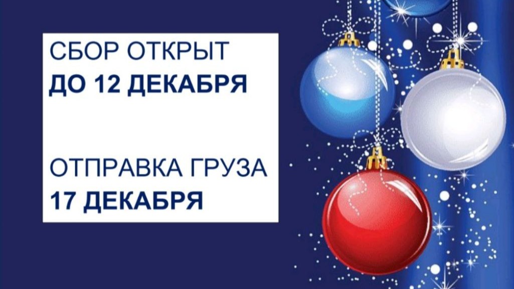 Новогодний сбор гуманитарной помощи